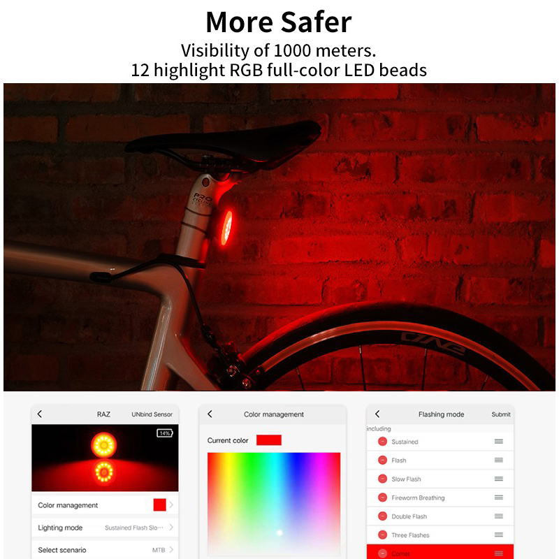 SHANREN RAZ Pro Bicycle Tail L - Cycling Gear Charging Station 评论和价格