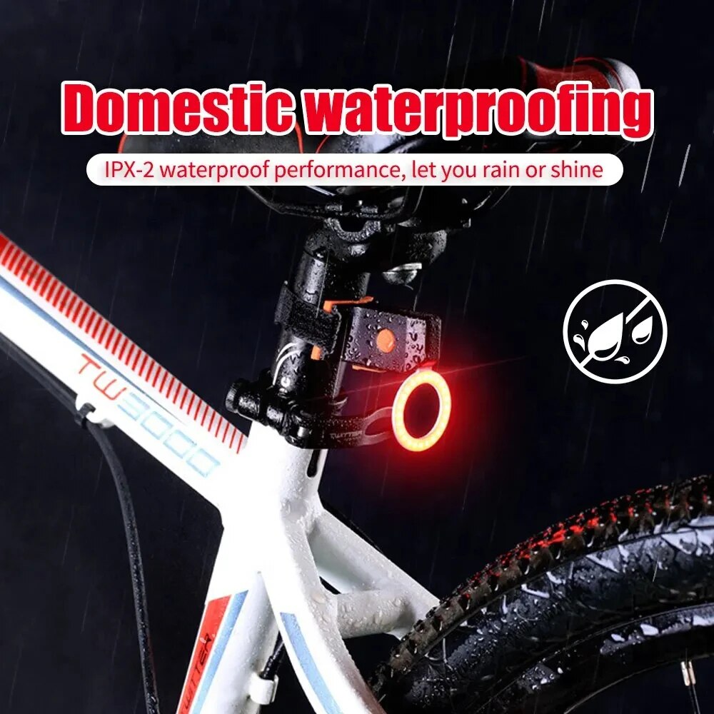 Bicycle Taillight USB Recharge - Cycling Gear Charging Station 评论和价格