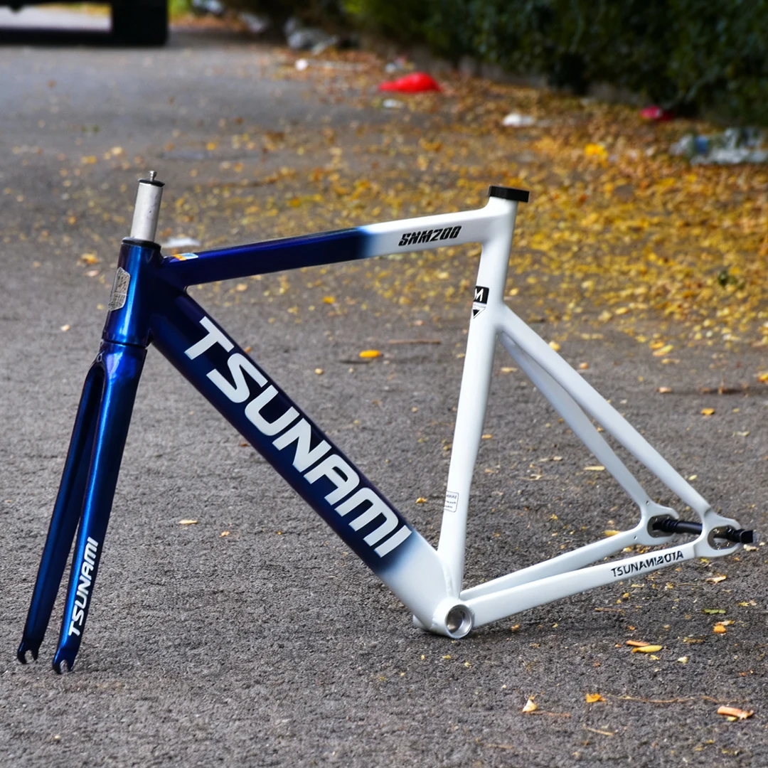 SNM200 Aluminum Alloy Fixed Ge - Cycling Gear For Commuting 评论和价格