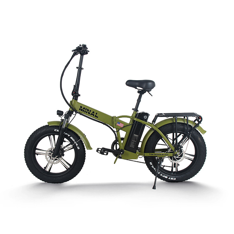 48V 350W 10.5Ah FTC200 Electri - Cycling Gear For Commuting 评论和价格