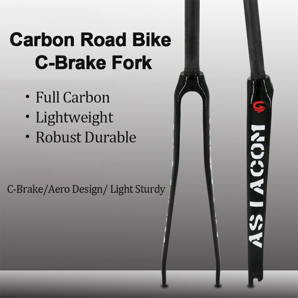 Full Carbon Road Bike Fixed Ge - Cycling Gear Inches 评论和价格